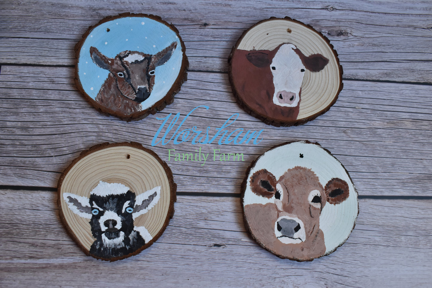 Hand Painted Ornament